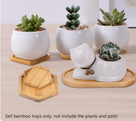 Flower Pots & Planter Bamboo Tray - The Seasonal Things
